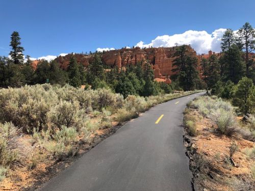 A paved path winds through green shrubs, leading to red rock formations under a blue sky with scattered clouds.