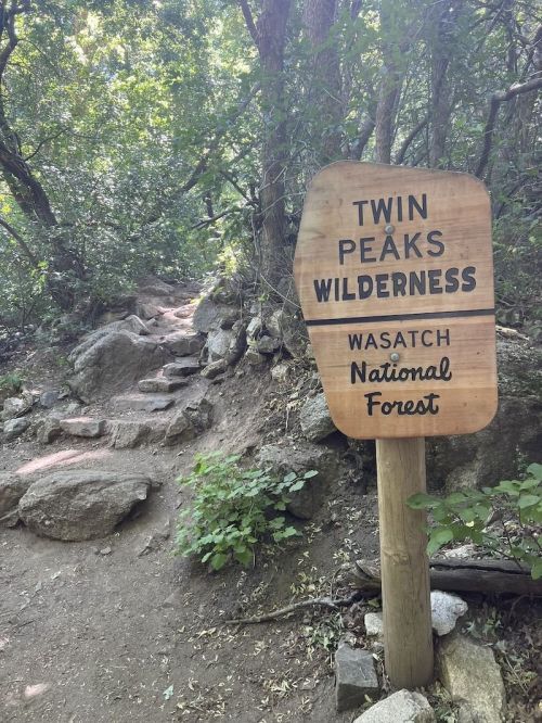 Sign marking the entrance to Twin Peaks Wilderness in Wasatch National Forest, surrounded by trees and rocky path.