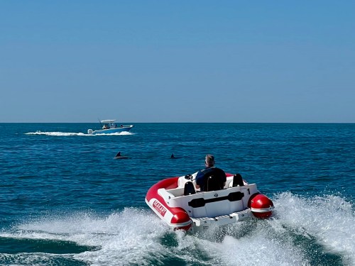 A person in a red and white boat speeds across the ocean, with another boat and dolphins visible in the water.