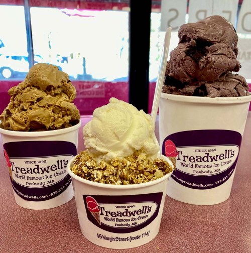 Three ice cream cups from Treadwell's: one with chocolate, one with vanilla, and one with a mix of granola and ice cream.