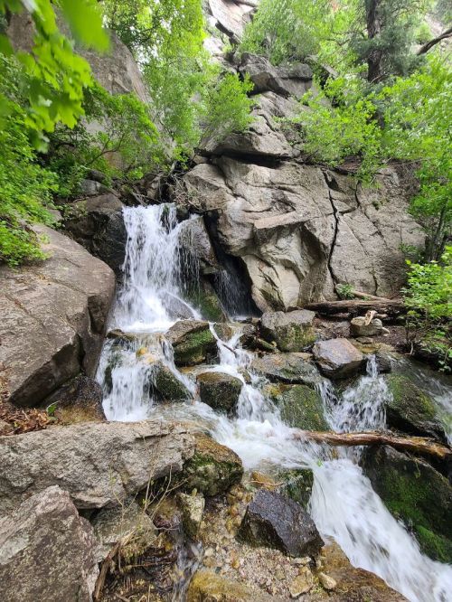 A serene waterfall cascading over rocks, surrounded by lush green foliage and rugged cliffs.