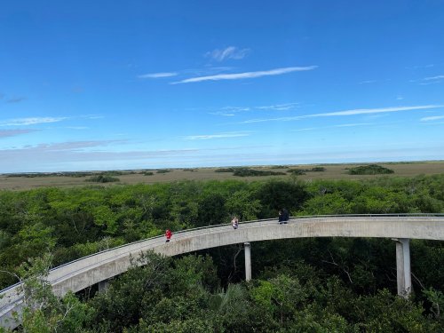 A curved walkway above lush greenery, with people walking and a clear blue sky in the background.
