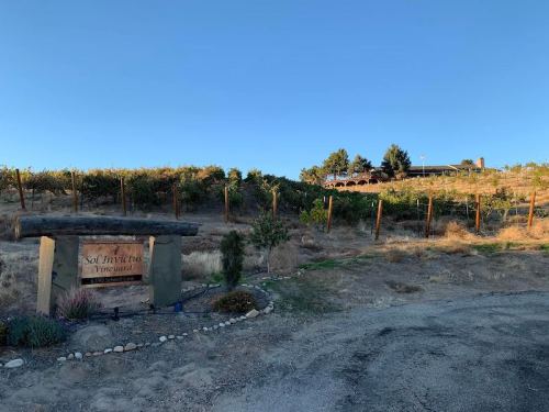 A vineyard sign in front of rows of grapevines, with a hillside building in the background under a clear blue sky.