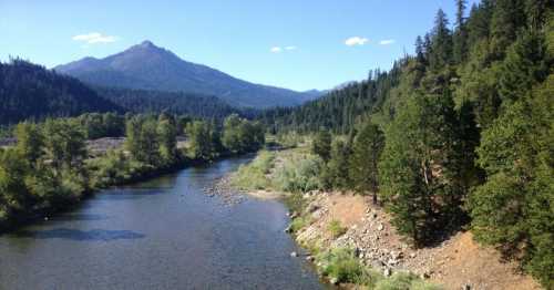 A serene river flows through a lush green landscape, surrounded by mountains under a clear blue sky.