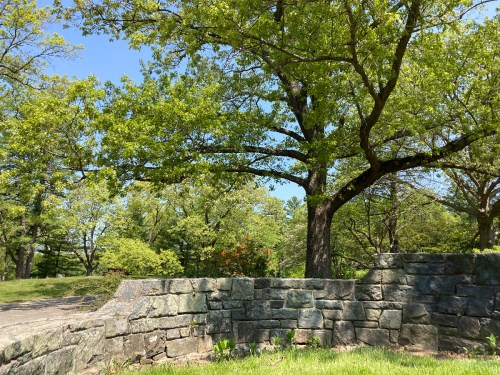 A lush green landscape featuring a large tree and a stone wall under a clear blue sky.