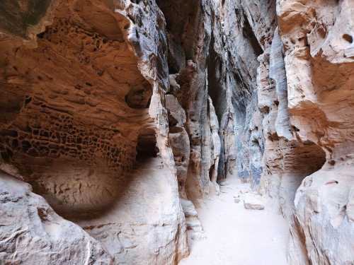 Narrow canyon with textured rock walls and sandy floor, illuminated by natural light.