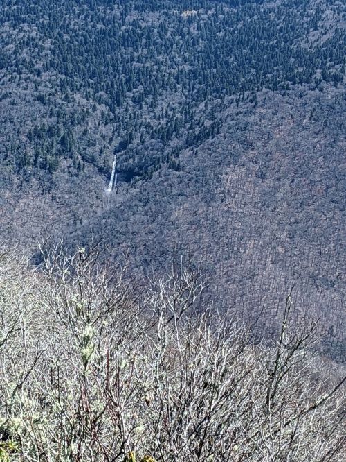 A panoramic view of a mountainous landscape with dense trees and a narrow valley in the distance.