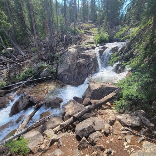 A serene forest scene featuring a cascading waterfall over rocky terrain, surrounded by lush greenery and tall trees.