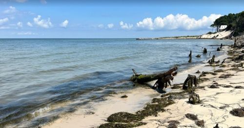 A serene beach scene with calm waters, driftwood, and a distant house on a sandy shore under a blue sky.