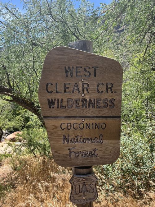 Wooden sign marking the West Clear Creek Wilderness in Coconino National Forest, surrounded by greenery.