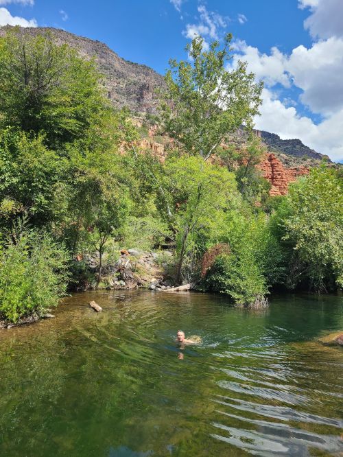 A person swims in a serene, green pond surrounded by lush trees and rocky mountains under a blue sky.