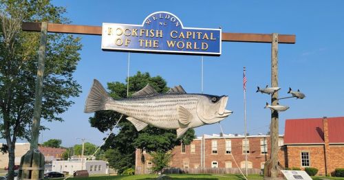 Sign for Weldon, NC, reading "Rockfish Capital of the World," featuring a large fish sculpture and a clear blue sky.