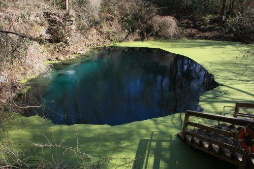 A circular pond surrounded by green algae, with clear blue water in the center and a wooden platform nearby.
