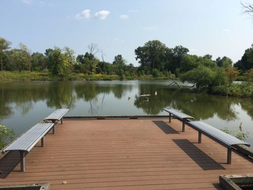 A wooden dock extends over a calm pond, surrounded by trees and greenery under a clear blue sky.