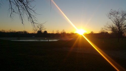 A sunset over a grassy field with a pond, featuring rays of sunlight and silhouetted trees in the foreground.