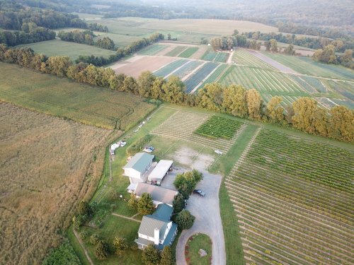 Aerial view of a rural landscape featuring fields, crops, and a farmhouse surrounded by trees.