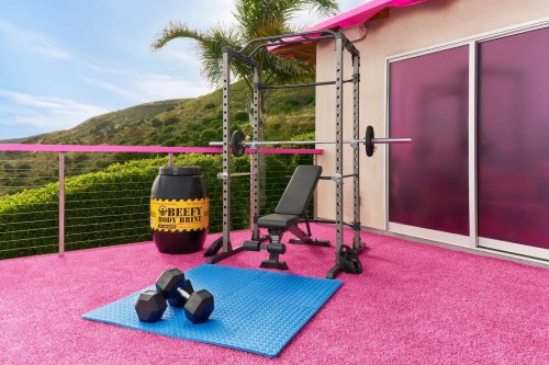 A vibrant outdoor gym setup with a weight bench, barbell, dumbbells, and pink flooring, surrounded by greenery.