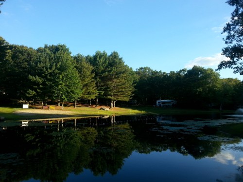 A serene pond surrounded by lush green trees and a clear blue sky, reflecting the landscape in the water.