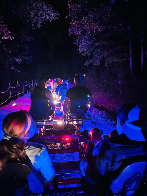 A group of people riding on a lit-up cart through a dark forest path, surrounded by colorful lights.