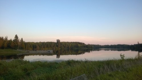 A serene lake surrounded by trees, reflecting the sky at dusk, with lush green grass in the foreground.