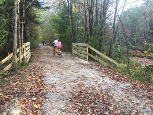 Two cyclists ride along a gravel path surrounded by trees, with fallen leaves covering the ground.