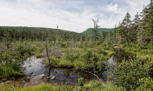 A serene landscape featuring a calm stream surrounded by lush greenery and distant mountains under a cloudy sky.