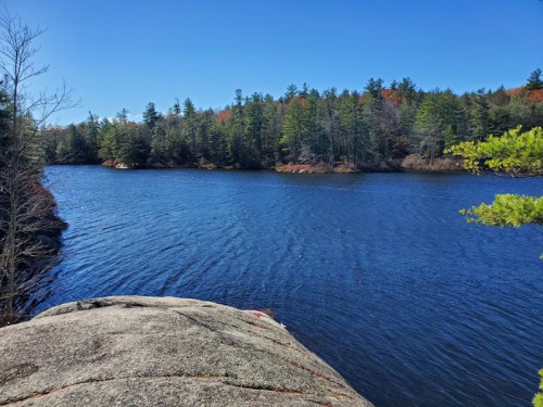 A serene lake surrounded by trees under a clear blue sky, viewed from a rocky shoreline.