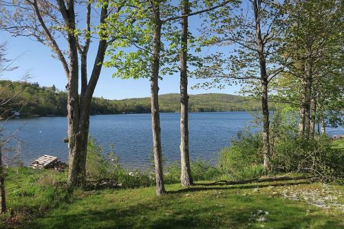 A serene lake surrounded by trees and greenery, with a clear blue sky and distant hills in the background.