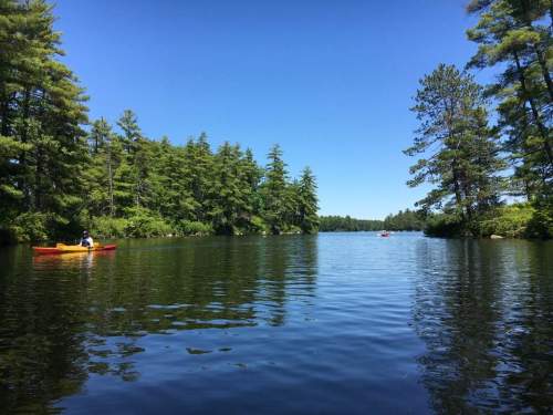 A serene lake surrounded by lush trees, with two kayakers paddling on a clear, sunny day.