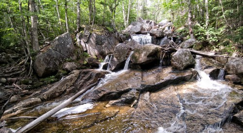 A serene forest scene featuring a small waterfall cascading over rocky terrain, surrounded by lush greenery.