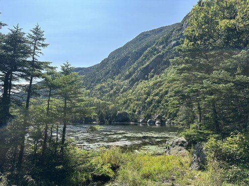 A serene landscape featuring a calm lake surrounded by lush greenery and mountains under a clear blue sky.