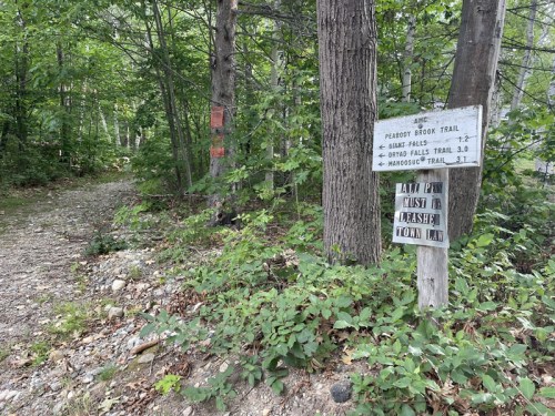A wooden trail sign points to various hiking paths in a wooded area, surrounded by greenery and trees.