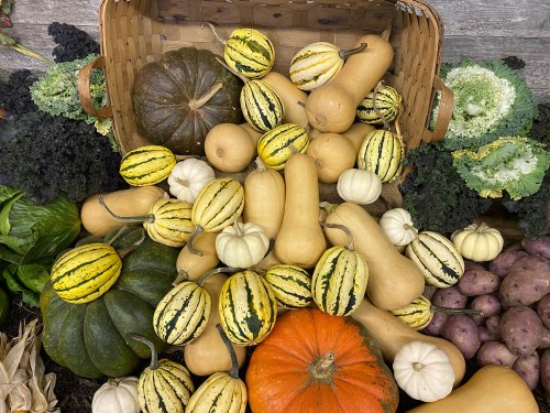 A variety of colorful pumpkins and squash piled around a woven basket, surrounded by leafy greens and potatoes.