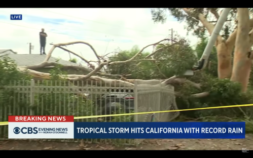 A man stands on a roof near a fallen tree, with a news banner about a tropical storm hitting California.