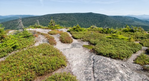 A rocky landscape with low vegetation, overlooking a distant green mountain range under a clear blue sky.