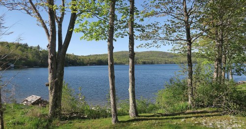 A serene lake surrounded by trees and hills under a clear blue sky, reflecting nature's tranquility.