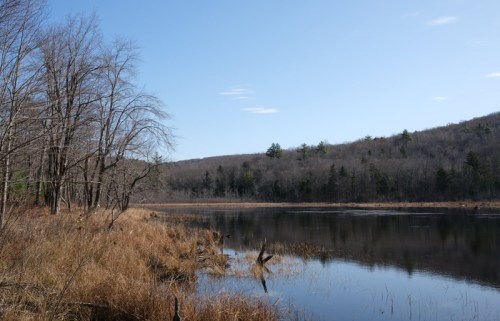 A serene river scene with bare trees and a distant forest under a clear blue sky. Reflections shimmer on the water.