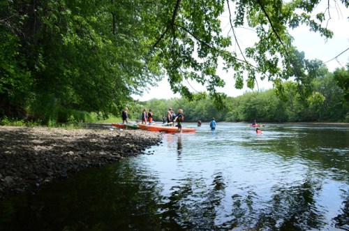 A group of people kayaking on a calm river surrounded by lush greenery on a sunny day.