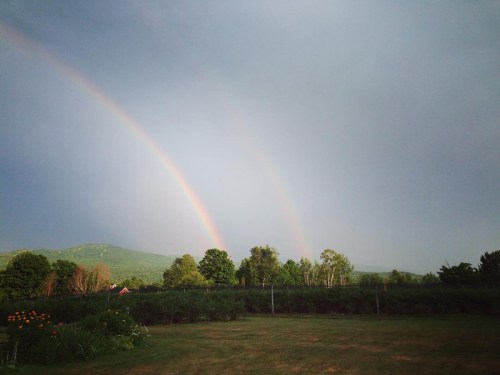 A double rainbow arcs over a green landscape with trees and mountains under a cloudy sky.