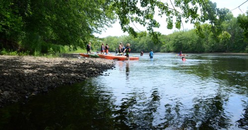 A group of people kayaking on a calm river surrounded by lush greenery on a sunny day.