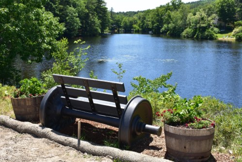 A unique bench shaped like a large wheel, surrounded by greenery and overlooking a calm lake.