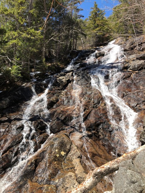 A cascading waterfall flows over rocky terrain, surrounded by lush green trees under a clear blue sky.