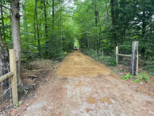 A dirt path through a green forest, flanked by trees and a wooden fence, leading into the distance.