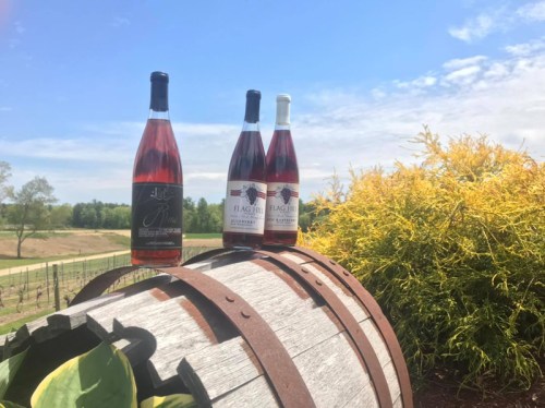 Three bottles of rosé wine on a wooden barrel, with a sunny vineyard and yellow flowers in the background.