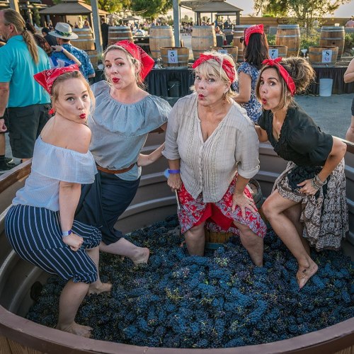 Four women in a grape-stomping tub, wearing bandanas and playful expressions, surrounded by barrels at an outdoor event.