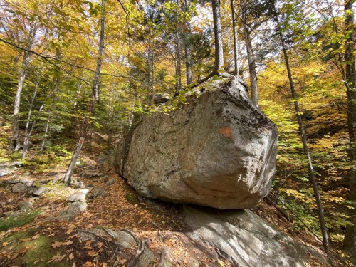 A large boulder surrounded by colorful autumn foliage and trees in a forest setting.
