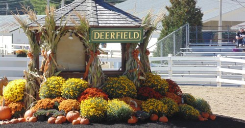 A decorative display featuring pumpkins and colorful mums, with a sign reading "Deerfield" in a festive autumn setting.