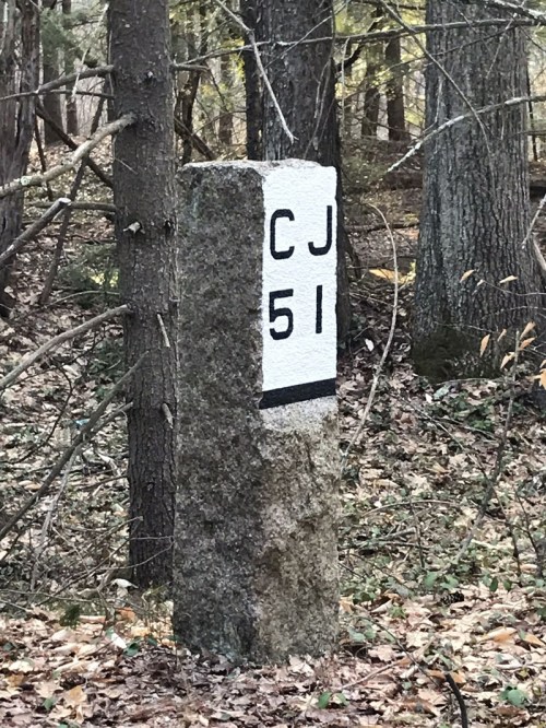 A stone marker in a forest, labeled "CJ 51," surrounded by trees and fallen leaves.