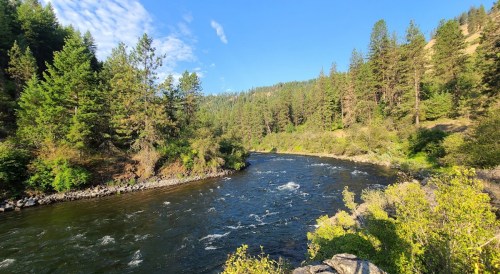 A serene river flows through a lush green landscape, surrounded by trees and a clear blue sky.