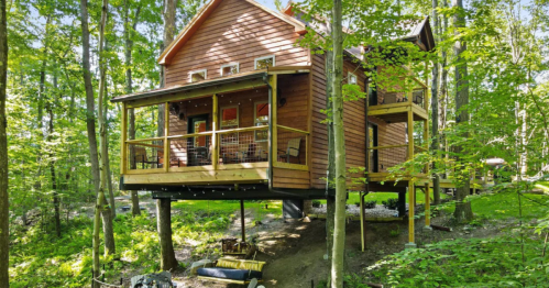 A wooden treehouse nestled among trees, featuring a porch and elevated structure in a lush green forest.